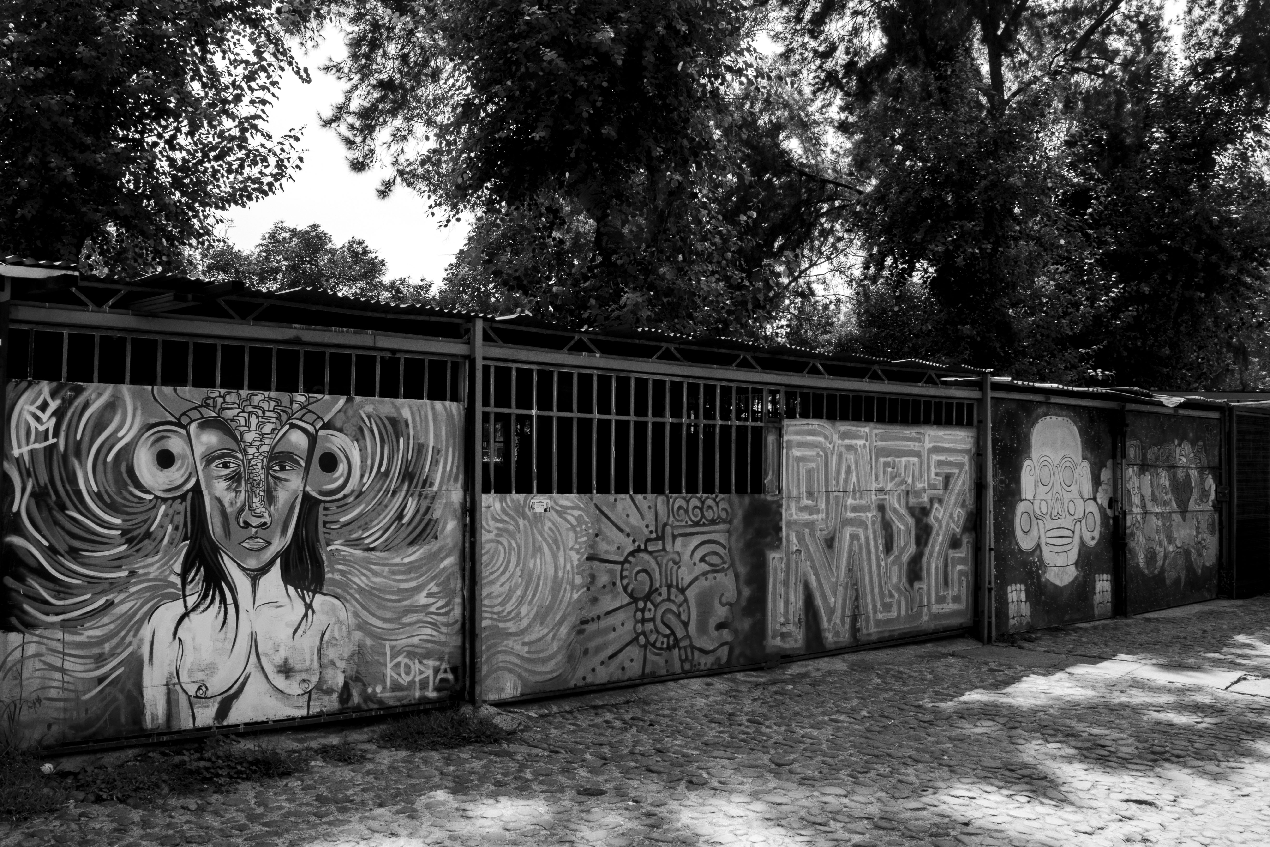 Mural de grafiti en blanco y negro con figura femenina en valla metálica frente a árboles.