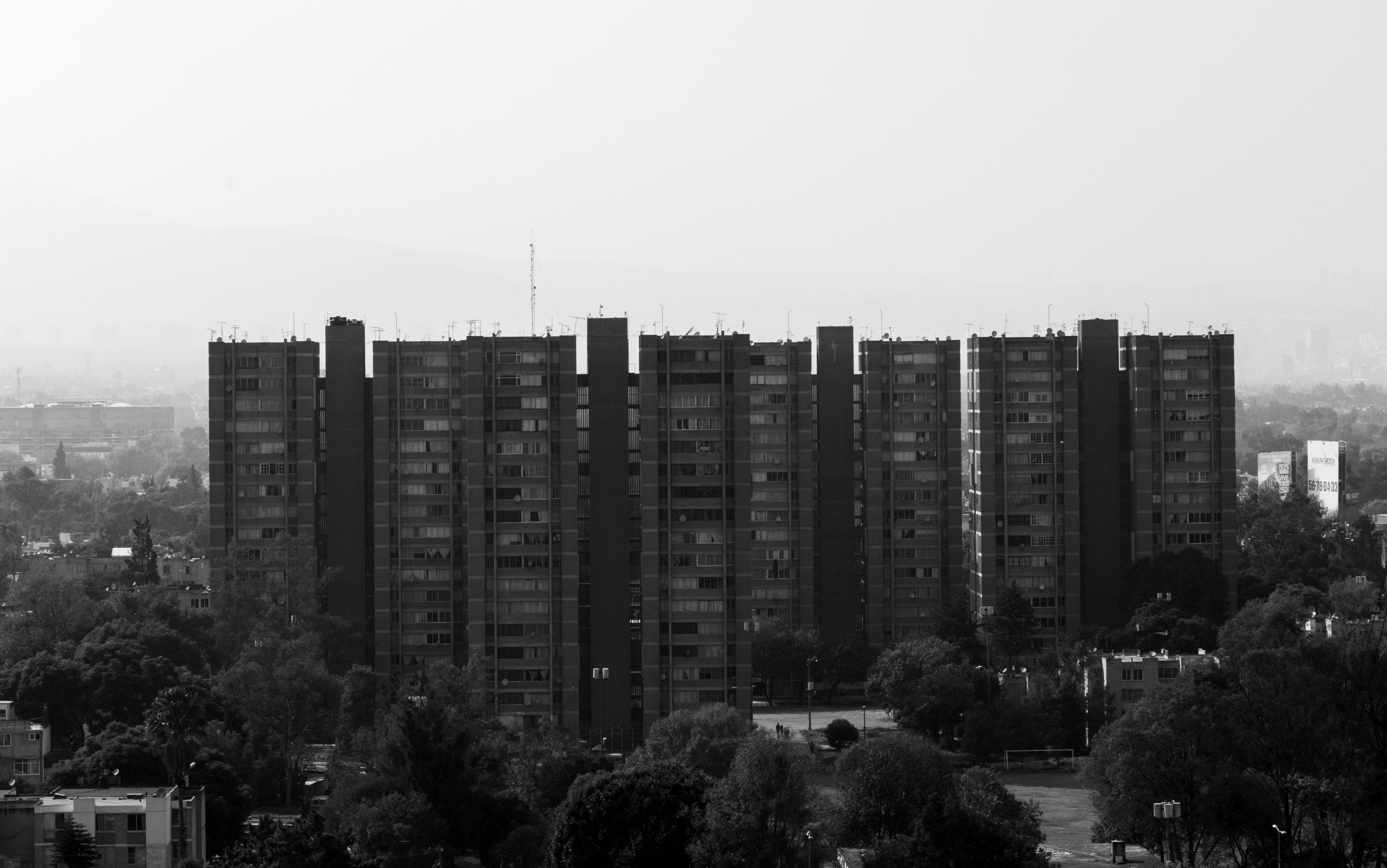 Fotografía en blanco y negro de edificios de la Unidad Habitacional rodeados de árboles.